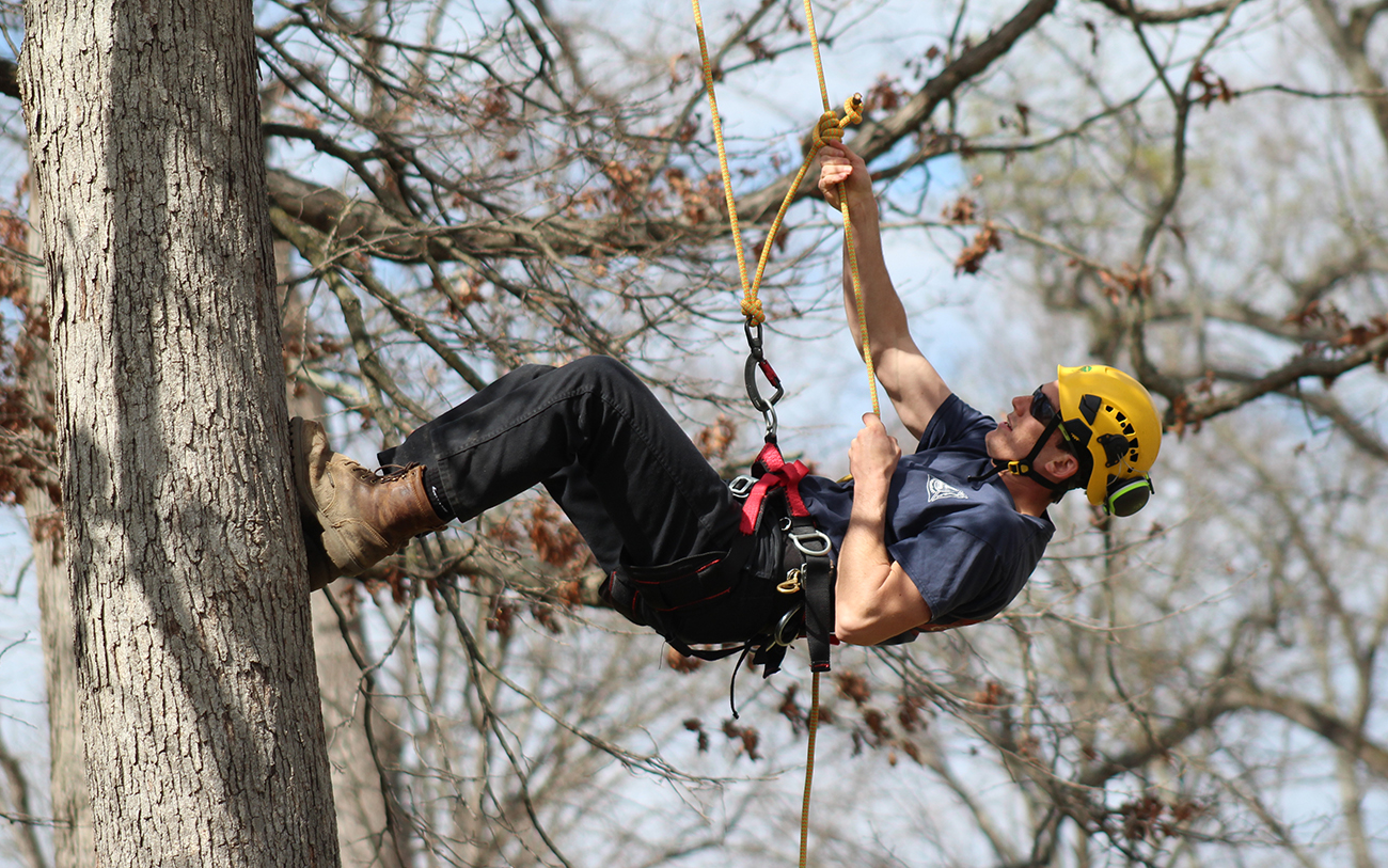 A graduate student repels down a tree