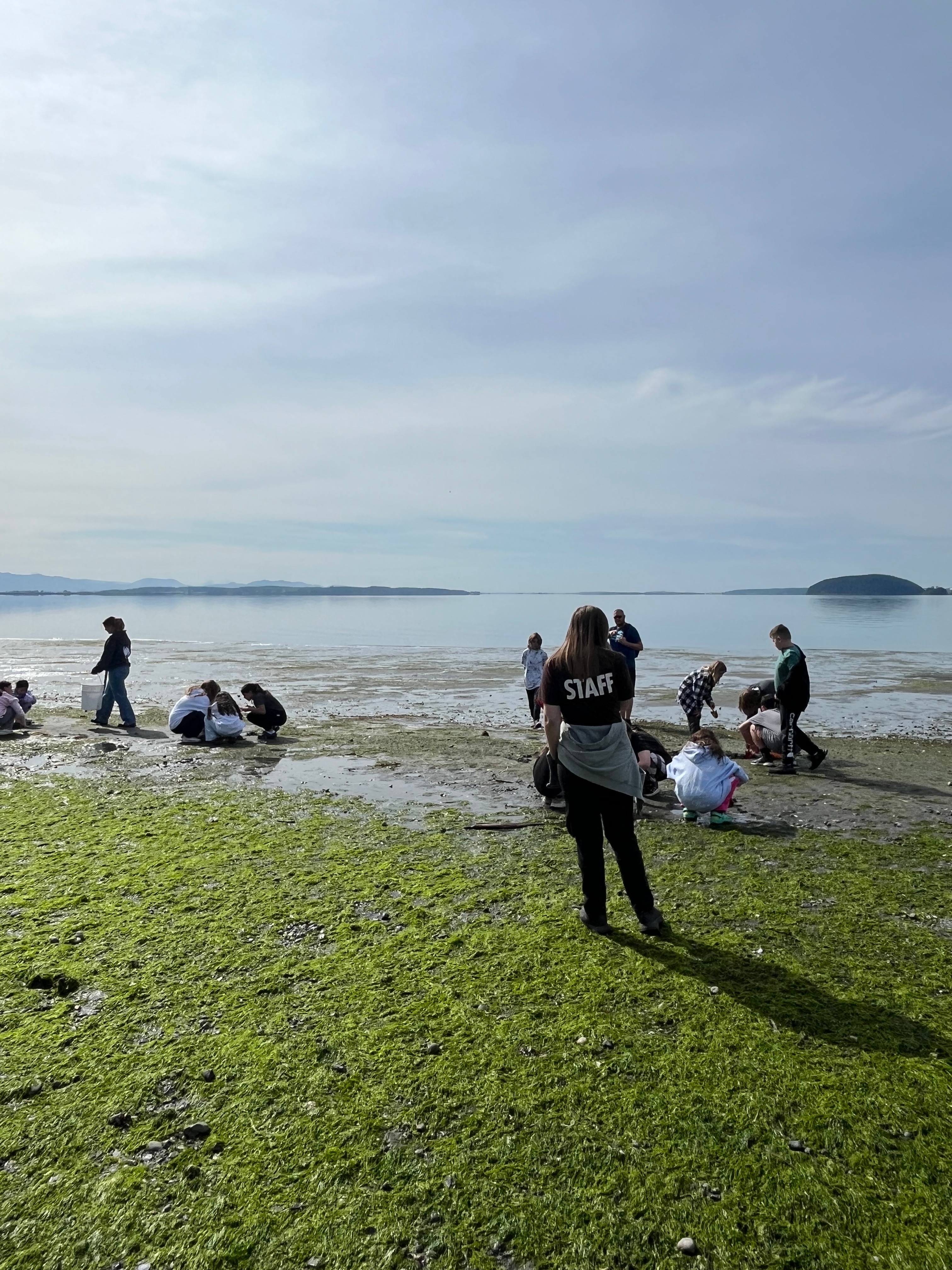 WOSLN student participants Groups of young students crouched down around 5 gallon buckets along a shore, a person wearing a staff shirt looks on