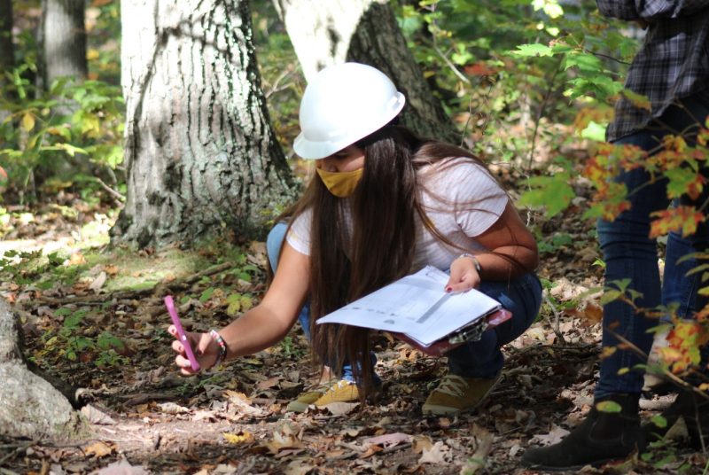 A young woman wearing a hard hat and a face covering and holding a clipboard crouches down in a wooded area and takes a photo of the base of a tree with her cellphone