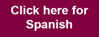 EE21 Follow-up Survey - Spanish
