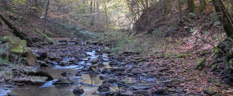 GCC Team Awarded NSF Grant to Assess How Salt in Freshwater Streams Impacts Aquatic Ecosystems