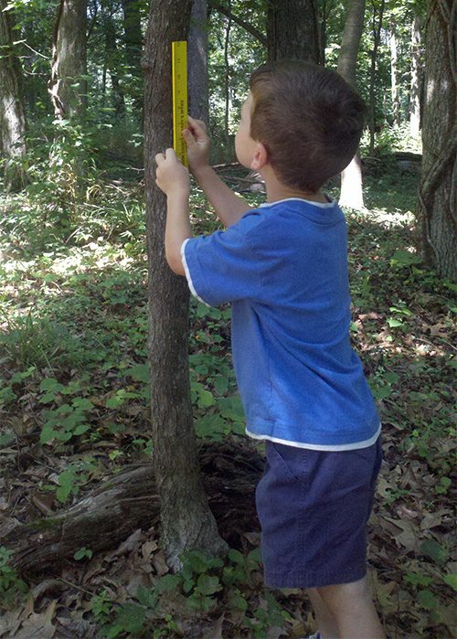 The eighth step in legacy planning is providing opportunities for your family to learn about and enjoy your woodlands.