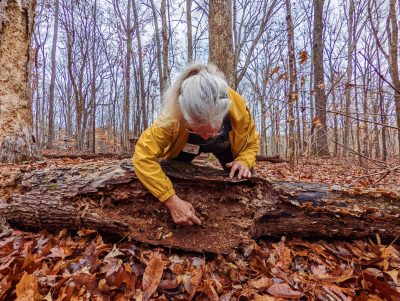 Virginia Master Naturalists Now Serving Southside